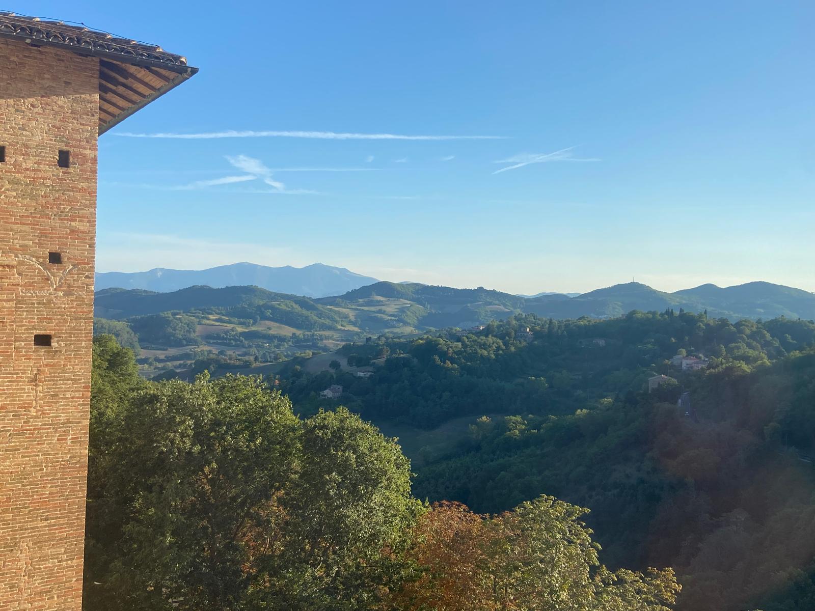 Urbino