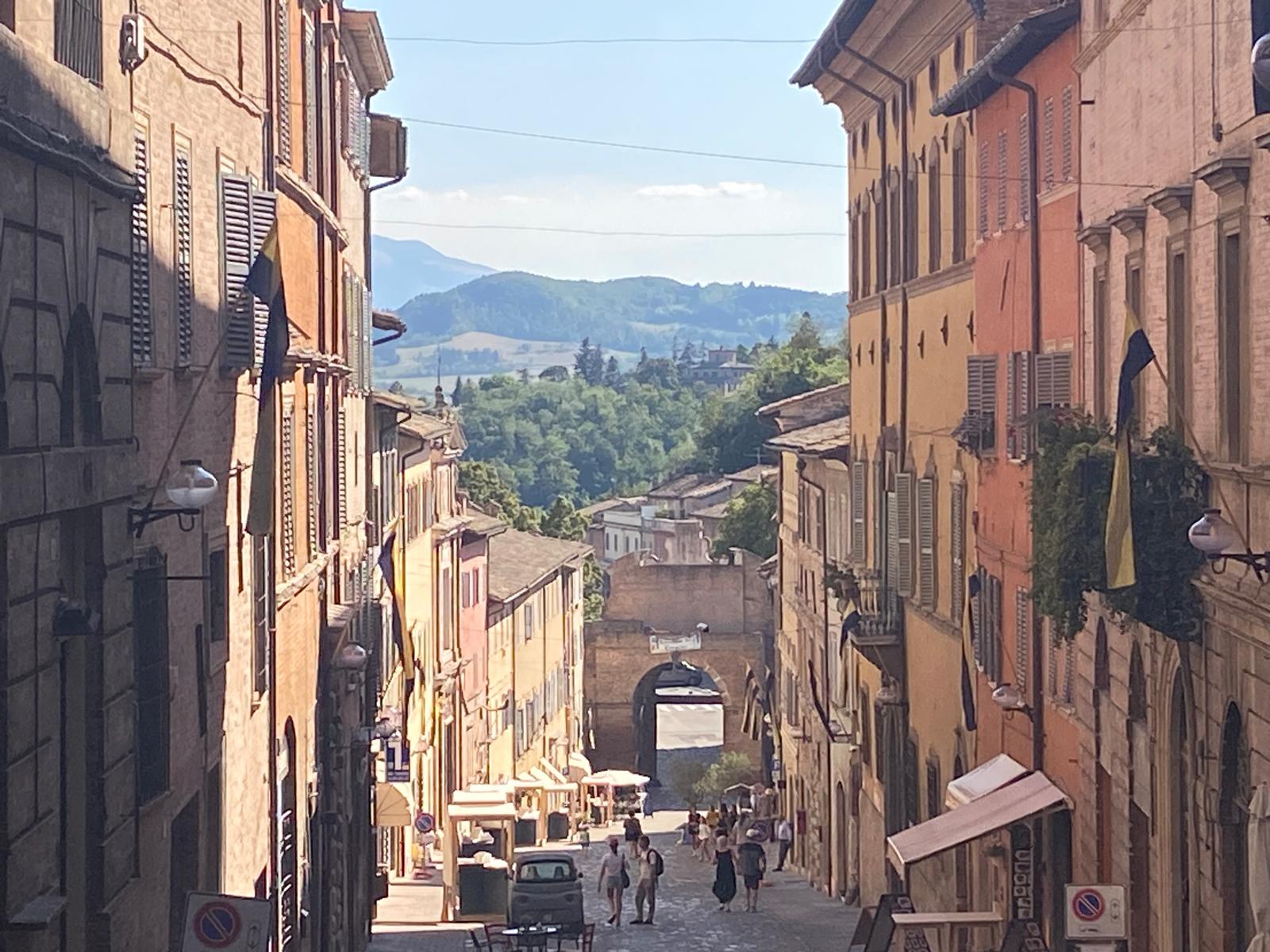 Urbino